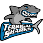 terrigal sharks