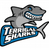 terrigal sharks